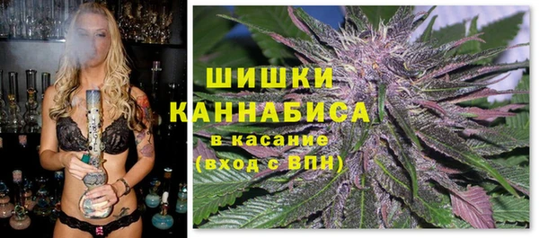 a pvp Осинники