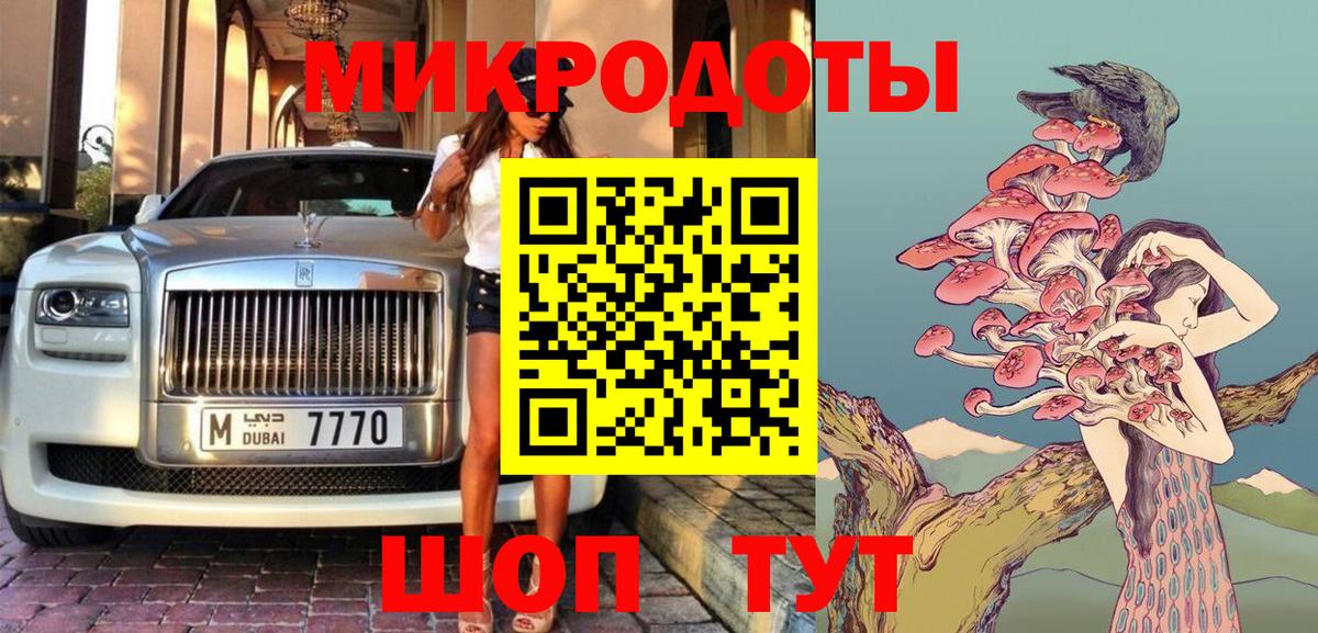 Псилоцибиновые грибы Psilocybine cubensis Кулебаки