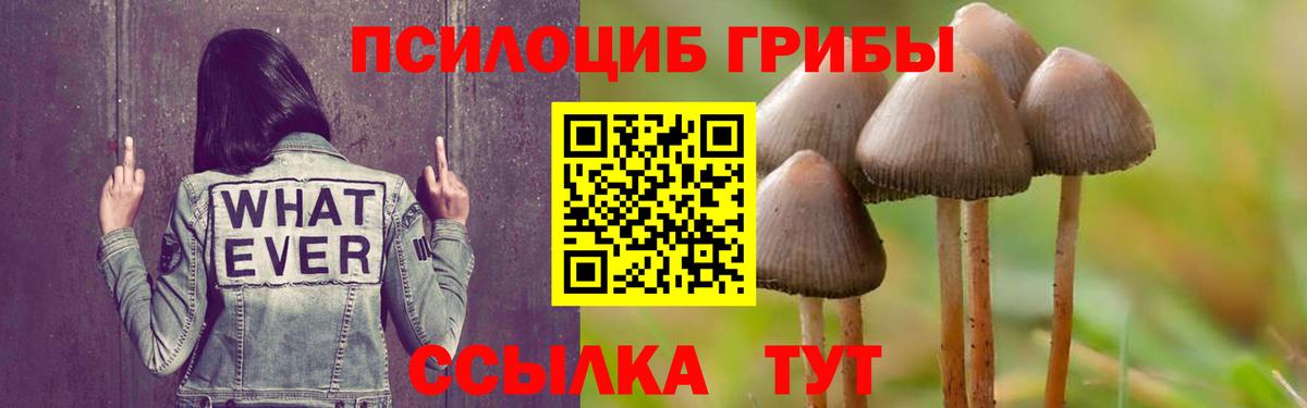 Псилоцибиновые грибы ЛСД  Вход с VPN  Кулебаки  Галлюциногенные грибы Cubensis 